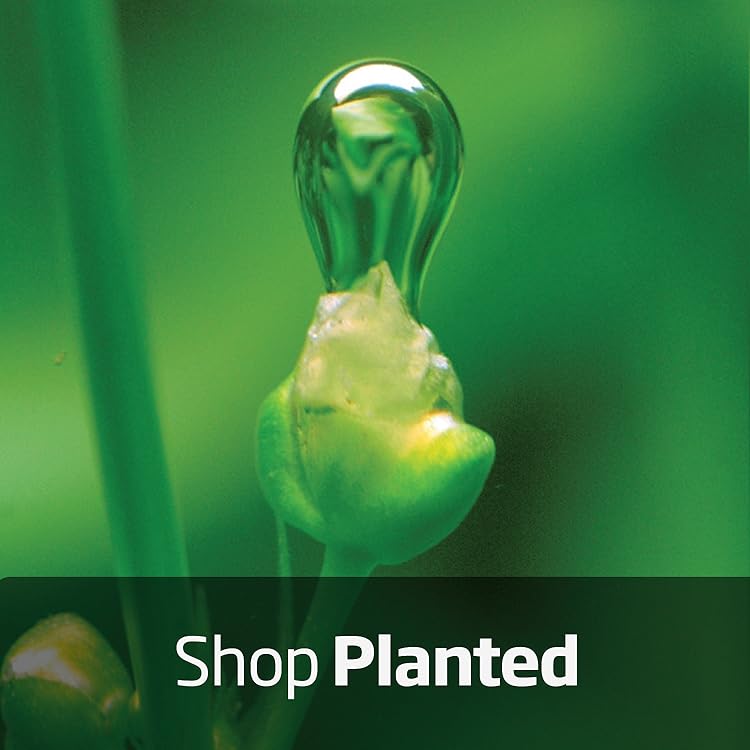 Master Your Marine Environment